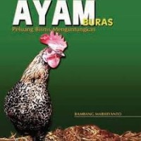 Image of Beternak Ayam Buras : Peluang Bisnis Menguntungkan
