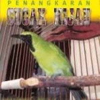 Image of Penangkaran Cucak Hijau